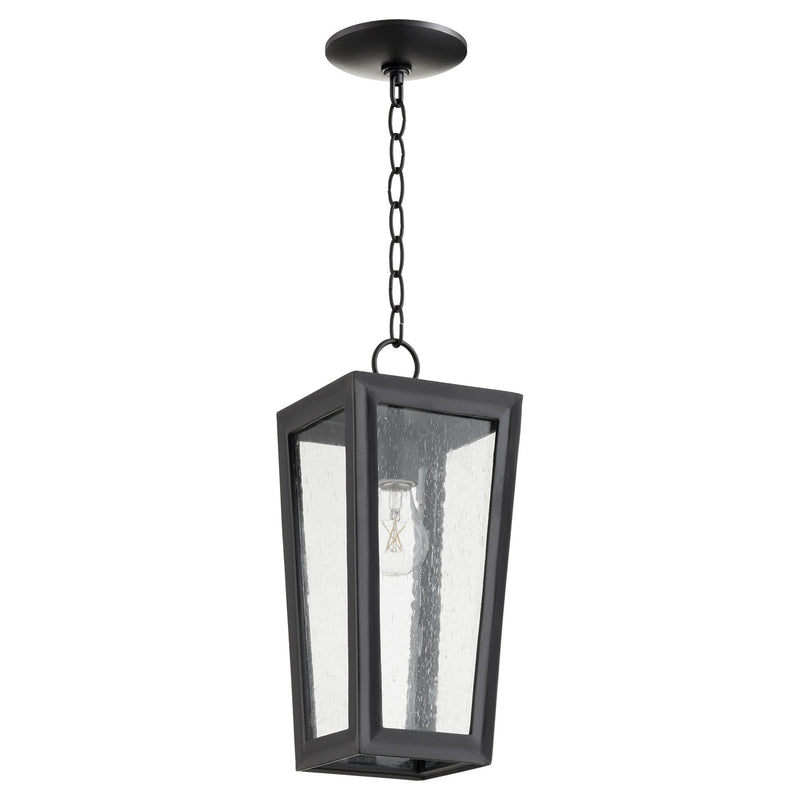 Bravo Transitional Pendant in Textured Black