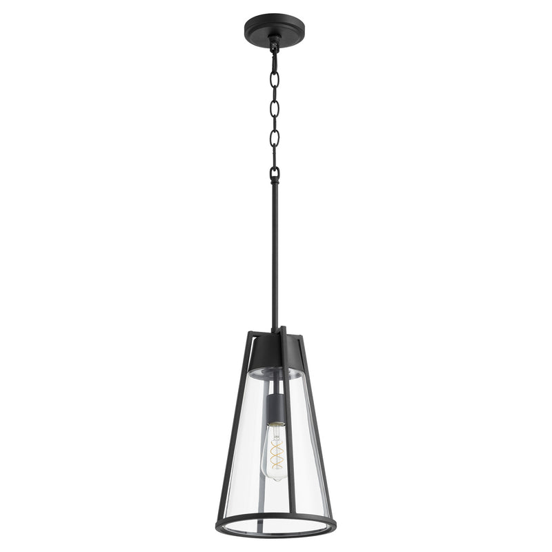 Transitional Pendant in Noir - Lamps Expo