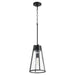 Transitional Pendant in Noir - Lamps Expo