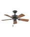 Cabana 36" Ceiling Fan in Matte Black from Hinkley Lighting, item number 901836FMB-NWA