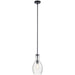 Everly Mini Pendant 1-Light in Black