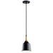 Danika Mini Pendant 1-Light in Black