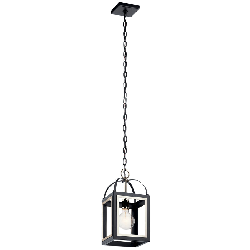 Vath Indoor Pendant 1-Light in Black