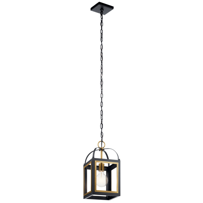 Vath Indoor Pendant 1-Light in Black