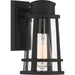 Dunham 1-Light Outdoor Lantern in Earth Black