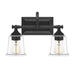 Nicholas 2-Light Bath Vanity in Earth Black