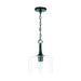 Carter One Light Pendant in Matte Black