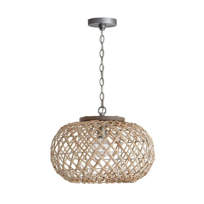 Rainey One Light Pendant in Grey Wash and Antique Nickel