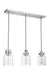 Foxwood Three Light Linear Pendant in Brushed Polished Nickel
