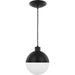 Globe LED Collection Black 1-Light LED Pendant