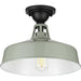 Cedar Springs Collection Pistachio 1-Light Semi-Flush Mount