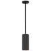 Pilson LED Pendant in Matte Black - Lamps Expo