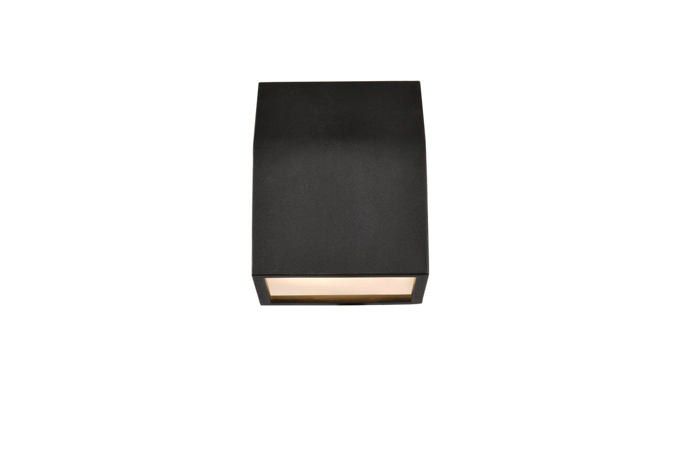 Raine Outdoor Wall Light in Black