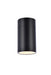 Raine Outdoor Wall Light in Black