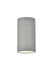 Raine Outdoor Wall Light in Silver