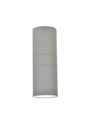 Raine Outdoor Wall Light in Silver