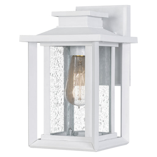 Wakefield 1-Light Outdoor Sconce in White Lustre