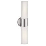 Aqueous 2-Light Wall Fixture in Brushed Steel Finish