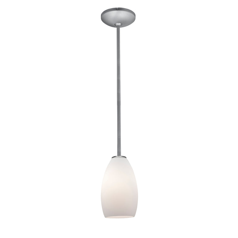 Champagne 1-Light Pendant in Brushed Steel Finish