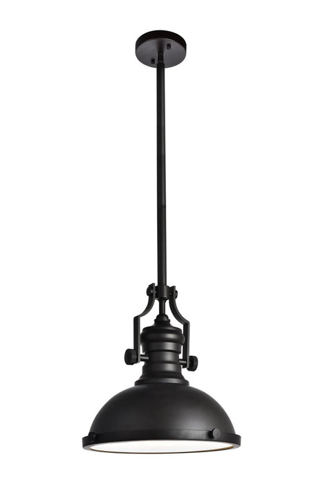 Eamon 1-Light Pendant - Lamps Expo