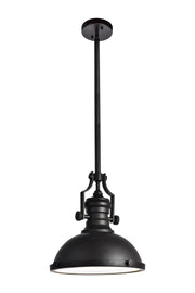 Eamon 1-Light Pendant in Oil Rubbed Bronze
