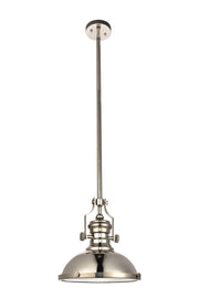 Eamon 1-Light Pendant in Polished Nickel