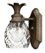Plantation Single Light Vanity in Pearl Bronze