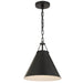 Xavier One Light Pendant in Matte Black