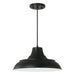Jones One Light Pendant in Matte Black