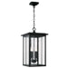 Barrett Four Light Outdoor Hanging Lantern in Black