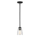 Calhoun 1-Light Mini-Pendant in Matte Black