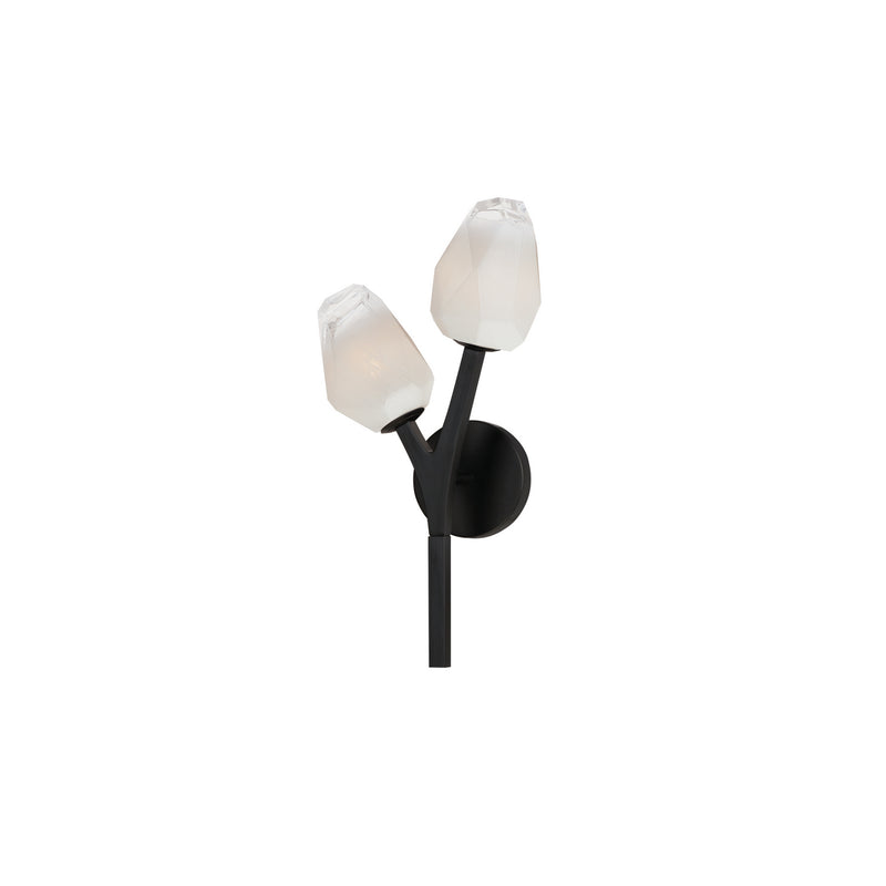 Blossom 2-Light Wall Sconce in Black