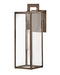 Max LED Wall Mount in Burnished Bronze