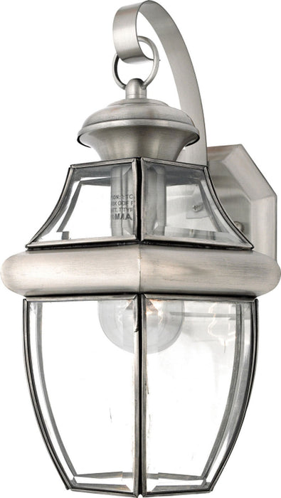 Newbury 1-Light Outdoor Lantern in Pewter