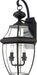 Newbury 2-Light Outdoor Lantern in Medici Bronze