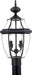 Newbury 2-Light Outdoor Lantern in Medici Bronze