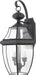 Newbury 2-Light Outdoor Lantern in Mystic Black