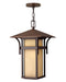 Harbor LED Hanging Lantern in Anchor Bronze by Hinkley Lighting