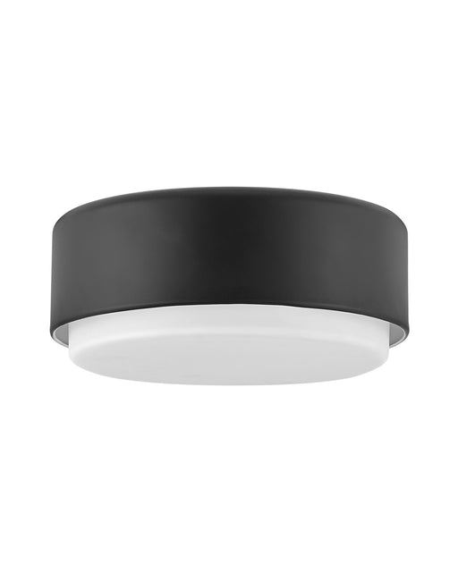 Cedric Two Light Flush Mount in Black by Hinkley Lighting