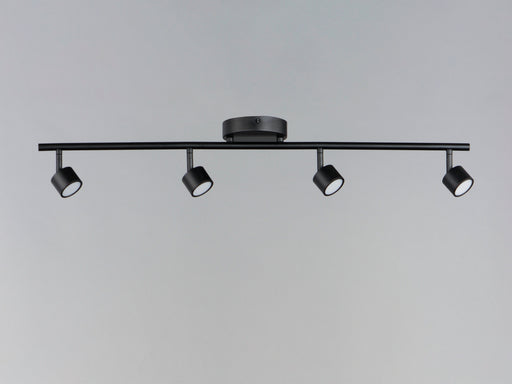 Taylor 4-Light Fixed Rail Track Light in Black