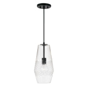 Dena One Light Pendant in Matte Black