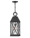 Briar One Light Hanging Lantern in Museum Black by Hinkley Lighting
