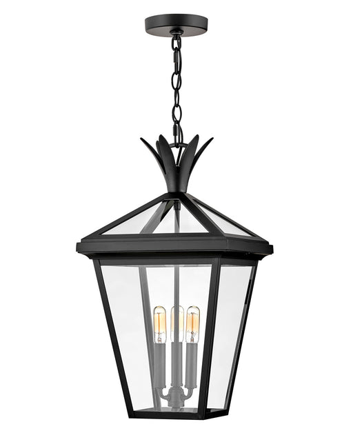 Palma Three Light Hanging Lantern in Black by Hinkley Lighting