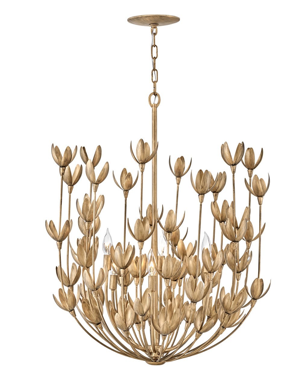 Flora Six Light Chandelier in Burnished Gold by Hinkley Lighting