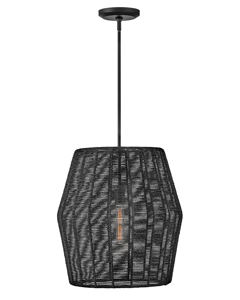 Luca One Light Pendant in Black by Hinkley Lighting