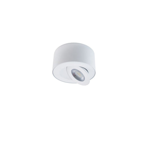 iSpy LED Outdoor Flush Mount in White - Lamps Expo