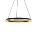 One Light Pendant in Black Gold