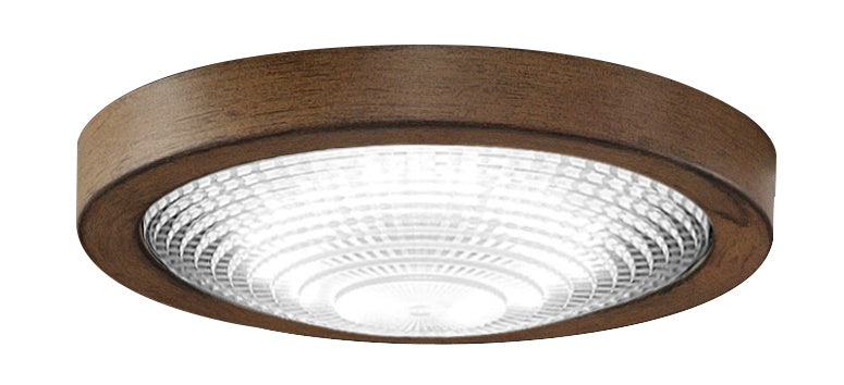 Spitfire LED Light Kit in Driftwood