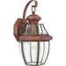 Newbury 1-Light Outdoor Lantern in Aged Copper