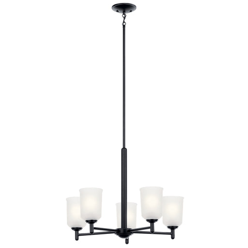 Shailene Five Light Chandelier in Black